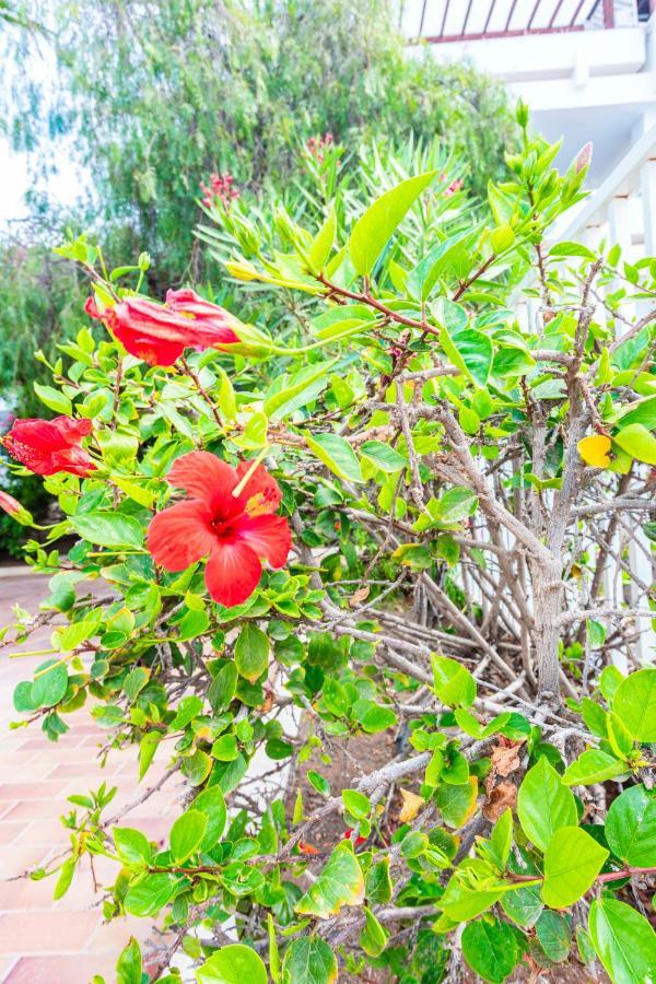 Vivienda Vacacional Sea Garden กอสตา เตกีสเซ ภายนอก รูปภาพ